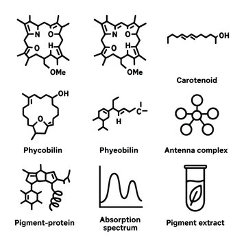 Photosynthetic Pigments Icons. Outline icon set of photosynthetic pigments: chlorophyll a, chlorophyll b, carotenoid, xanthophyll,