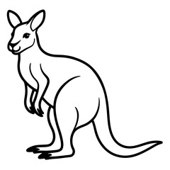 Modern Kangaroo Line Drawing
