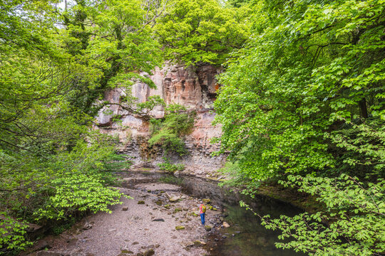 Hiker Exploring Roslin Glen, East Lothian, Scotland &mdash; Lush Spring Forest, Sandstone Cliffs, and the Tranquil River North Esk Flowing Through a Secluded Scenic Woodland Canyon Landscape