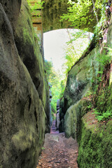 Ritterschlucht in Oybin