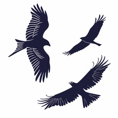 Obraz premium Three black kites in flight silhouette