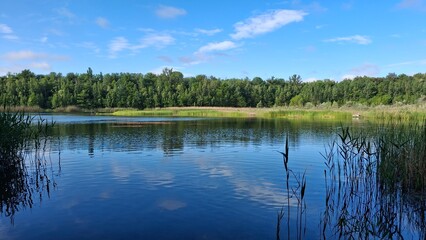 Tranquil lake scene with clear blue water, green reeds, and a lush forest under a bright sky. Perfect nature landscape for relaxation, travel, or outdoor themes.
