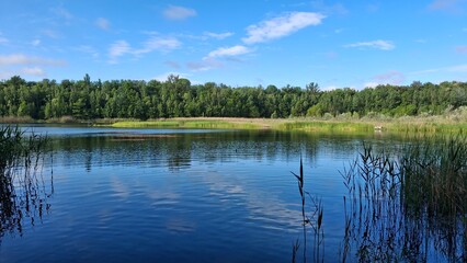 Tranquil lake scene with clear blue water, green reeds, and a lush forest under a bright sky. Perfect nature landscape for relaxation, travel, or outdoor themes.
