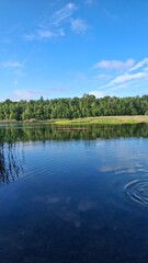 Obraz premium Tranquil lake scene with clear blue water, green reeds, and a lush forest under a bright sky. Perfect nature landscape for relaxation, travel, or outdoor themes.