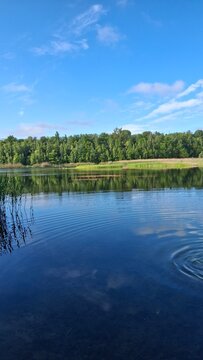 Fototapeta Tranquil lake scene with clear blue water, green reeds, and a lush forest under a bright sky. Perfect nature landscape for relaxation, travel, or outdoor themes.