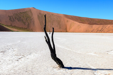 Namibia, dune del deserto e acacie, Deadvlei