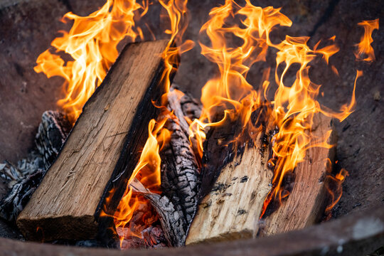 Wood in a campfire 