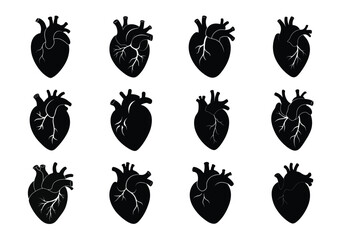 Vector human heart silhouette collection on white background