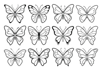 set of vector butterflies line art isolated on white background