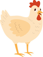 Chicken Illustration