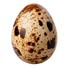  quail egg isolated on transparent or white background	