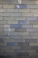 Carrelage de carreaux rectangle de plusieurs couleurs pour une salle de bains
