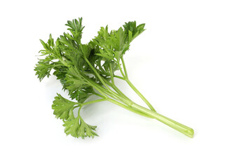 Sprig of fresh parsley isolated on white, top view