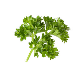 Sprig of fresh parsley isolated on white