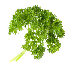 Sprig of fresh parsley isolated on white