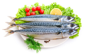 salted mackerel isolated