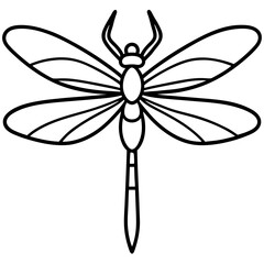 Dragonfly resting line art vector illustration 
