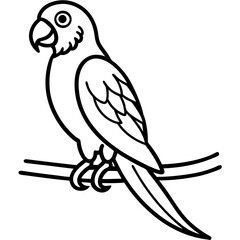 Parrot perched on vine line art vector illustration 