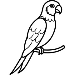 Parrot perched on vine line art vector illustration 