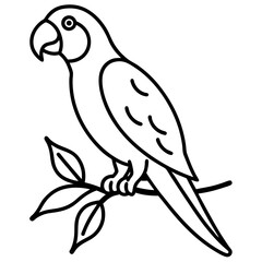 Parrot perched on vine line art vector illustration 