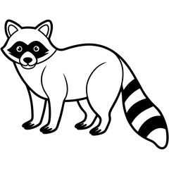 Racoon line art vector illustration 