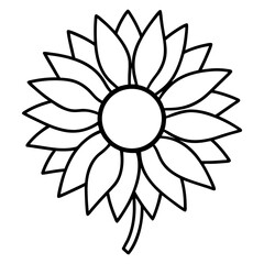 Sunflower line art vector illustration 