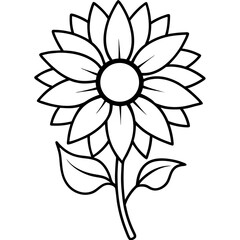 Sunflower line art vector illustration 