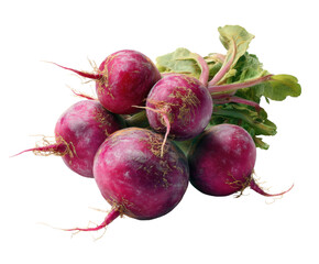Fresh radishes gathered for healthy cooking and salads, cut out transparent