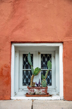 Fototapeta Terracotta building with a cactus in the window 