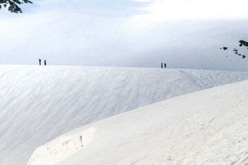 Obraz premium Some tourists on a completely snow covered mountain slope of Tateyama Mountain Range, Northern Japan Alps 2450 meters above sea level enjoying view at Murodo Plateau along Tateyama Kurobe Alpine Route