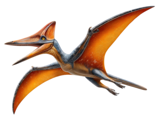 Pterodactyl in Flight: An artistic representation of a pterodactyl soars against a backdrop, wings outstretched, capturing the essence of prehistoric avian.
