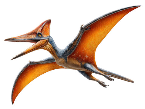 Pterodactyl in Flight: An artistic representation of a pterodactyl soars against a backdrop, wings outstretched, capturing the essence of prehistoric avian.