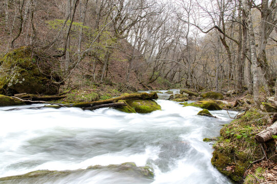 Early spring view of Oirase Stream (liquid poetry in motion) in Oirase Gorge river valley near Okuse, Towada, Aomori, Japan with water blurring and smearing with time-exposure