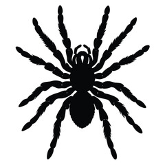 TARANTULA  VECTOR