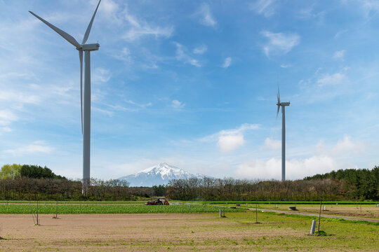 Farmer on tractor working on agricultural field with modern wind turbines in rural area in Tsugaru, Aomori Prefecture, Japan with snowcapped Mount Iwaka in the background against a blue sky