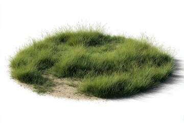 Fototapeta premium Growing green grassy patch nature scene digital art isolated environment close-up view organic texture
