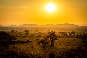 Naklejka premium African Sunrise