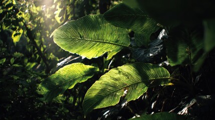 Exploring vibrant green leaves in lush jungle nature photography serene environment close-up view