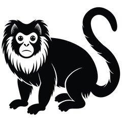 tamarin vector
