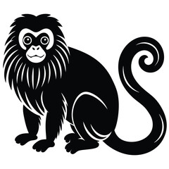 tamarin vector