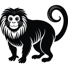 tamarin vector
