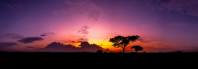 Fototapete Rund Aubergine Panorama silhouette tree in africa with sunset.Tree silhouetted against a setting sun.Dark tree on open field dramatic sunrise.Typical african sunset with acacia trees in Masai Mara, Kenya  © noon@photo
