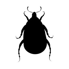 Black silhouette of insect beetle on white background. Isolated vector illustration.