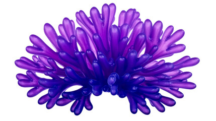 Violet Purple Tentacle Cluster Formation Isolated, cut out transparent
