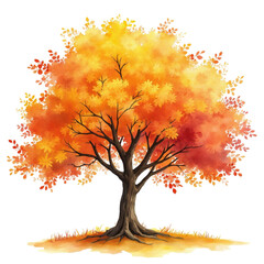 Beautiful autumn tree with orange and yellow leaves illustration on transparent background. isolated on a transparent background