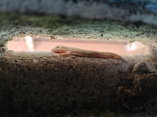 ทุกชีวิตล้วนรอคอย Every life is waiting