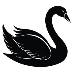 Obraz premium swan vector 