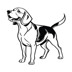 Beagle dog line art Vector on white background 