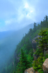 coniferous forest between mountains in Hiking White Mountains National Forest, New Hampshire