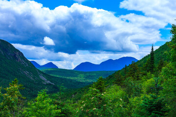 Mountain landscape view, green valley with dense coniferous forest between mountains in Hiking White Mountains National Forest, New Hampshire